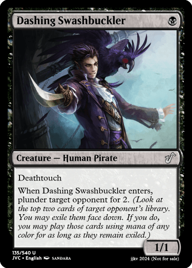 Dashing Swashbuckler